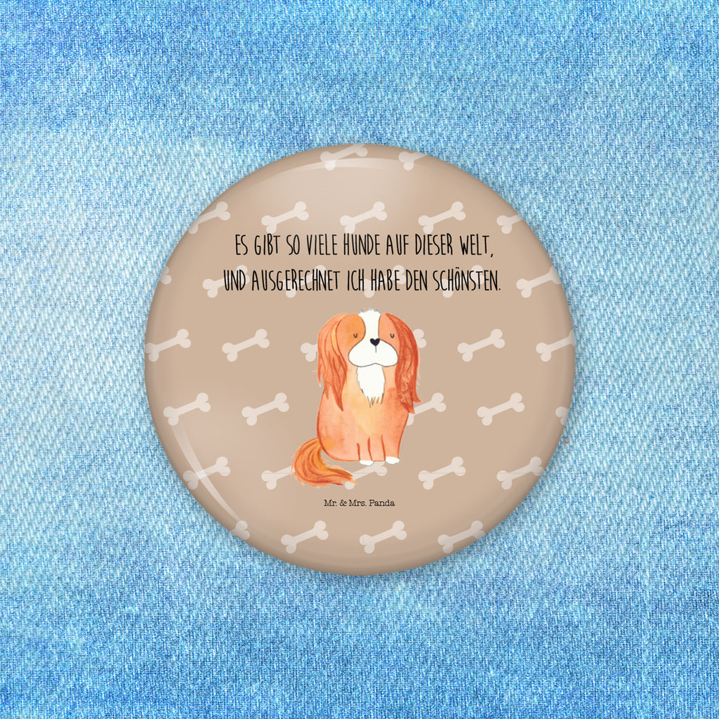 50mm Button Cavalier King Charles Spaniel 50mm Button, Button, Pin, Anstecknadel, Hund, Hundemotiv, Haustier, Hunderasse, Tierliebhaber, Hundebesitzer, Sprüche, Cavalier King Charles Spaniel, Cockerspaniel, Spaniel, Spruch, schönster Hund