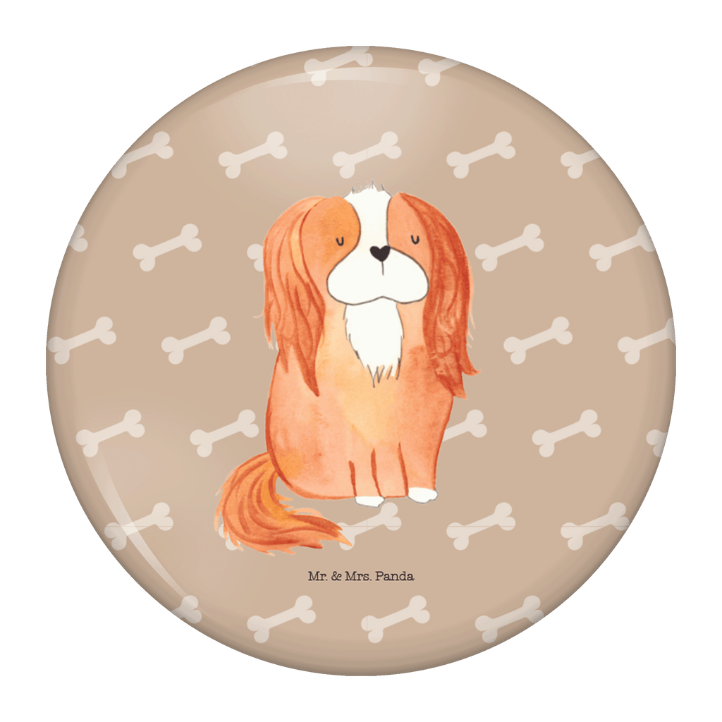 50mm Button Cavalier King Charles Spaniel 50mm Button, Button, Pin, Anstecknadel, Hund, Hundemotiv, Haustier, Hunderasse, Tierliebhaber, Hundebesitzer, Sprüche, Cavalier King Charles Spaniel, Cockerspaniel, Spaniel, Spruch, schönster Hund