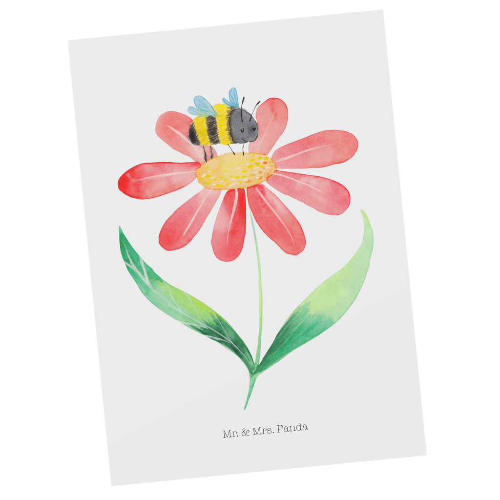 Postkarte Hummel Blume Geschenkkarte, Grußkarte, Karte, Einladung, Ansichtskarte, Geburtstagskarte, Einladungskarte, Tiermotive, Gute Laune, lustige Sprüche, Tiere, Hummel, Blume, Wespe, Flauschig, Natur, Feld, Hummeln, Biene