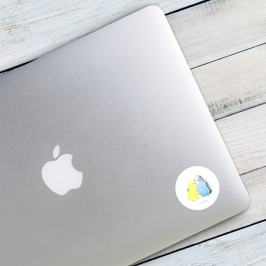 40mm Rund Aufkleber Wellensittich Liebe Sticker, Aufkleber, Etikett, Liebe, Partner, Freund, Freundin, Ehemann, Ehefrau, Heiraten, Verlobung, Heiratsantrag, Liebesgeschenk, Jahrestag, Hocheitstag, Vögel, Wellensittich, Nähe, Kuscheln, Vertrauen