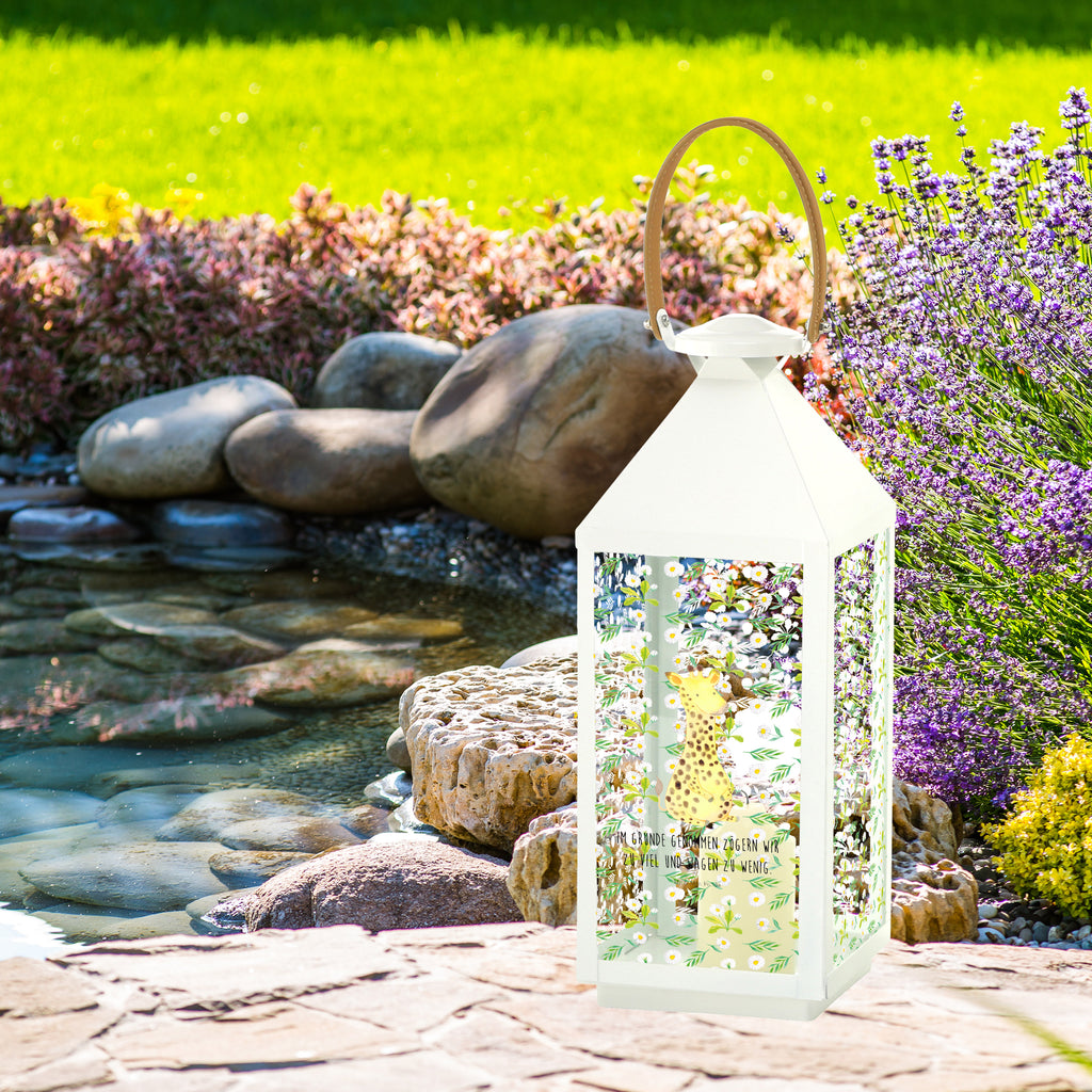 Deko Laterne Giraffe Zufrieden Giraffe, Afrika, Zufrieden, Glück, Abenteuer Gartenlampe, Gartenleuchte, Gartendekoration, Gartenlicht, Laterne  kleine Laternen, XXL Laternen, Laterne groß,   Afrika, Wildtiere