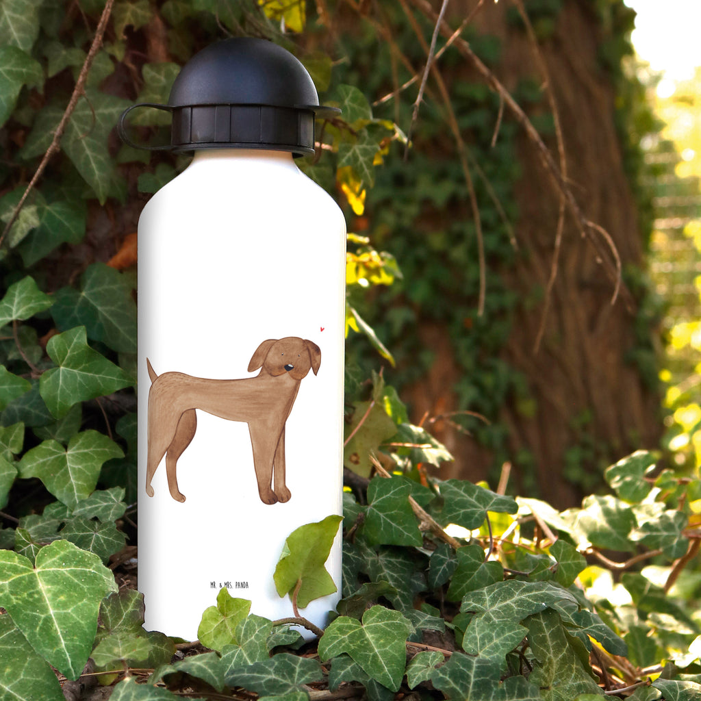 Kindertrinkflasche Hund Dogge Kindertrinkflasche, Kinder Trinkflasche, Trinkflasche, Flasche, Kinderflasche, Kinder, Kids, Kindergarten Flasche, Grundschule, Jungs, Mädchen, Hund, Hundemotiv, Haustier, Hunderasse, Tierliebhaber, Hundebesitzer, Sprüche, Hunde, Dogge, Deutsche Dogge, Great Dane