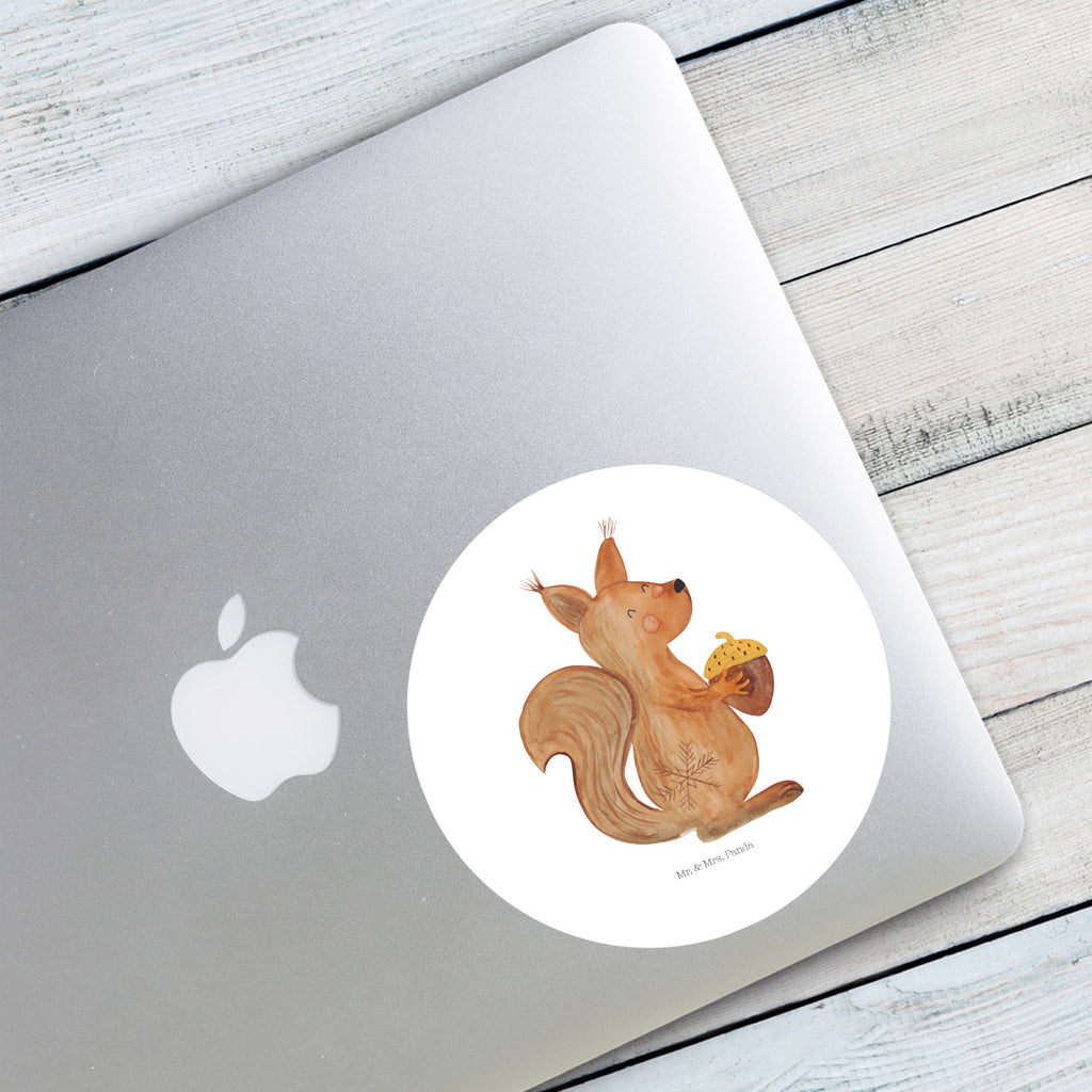 40mm Rund Aufkleber Eichhörnchen Weihnachtszeit Sticker, Aufkleber, Etikett, Winter, Weihnachten, Weihnachtsdeko, Nikolaus, Advent, Heiligabend, Wintermotiv, Frohe Weihnachten, Frohes neues Jahr, Guten Rutsch, Weihnachtsmotiv, Weihnachtsgruß, Neujahr, Vogel
