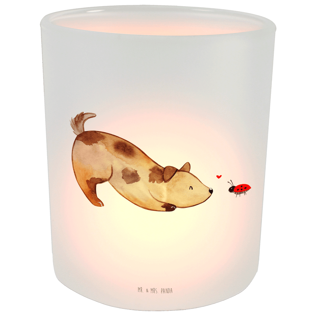 Windlicht Hund Marienkäfer Windlicht Glas, Teelichtglas, Teelichthalter, Teelichter, Kerzenglas, Windlicht Kerze, Kerzenlicht, Hund, Hundemotiv, Haustier, Hunderasse, Tierliebhaber, Hundebesitzer, Sprüche, Hunde, Hundespruch, Marienkäfer, Mischling, Mischlinghund