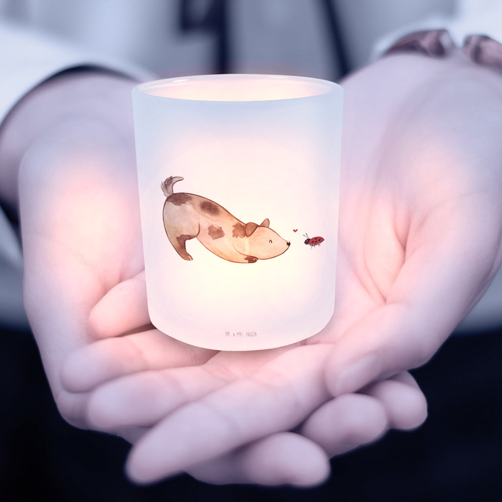 Windlicht Hund Marienkäfer Windlicht Glas, Teelichtglas, Teelichthalter, Teelichter, Kerzenglas, Windlicht Kerze, Kerzenlicht, Hund, Hundemotiv, Haustier, Hunderasse, Tierliebhaber, Hundebesitzer, Sprüche, Hunde, Hundespruch, Marienkäfer, Mischling, Mischlinghund