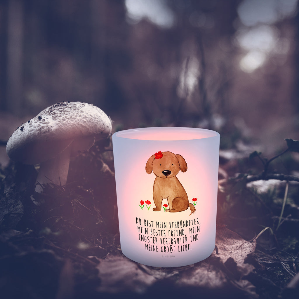 Windlicht Hund Hundedame Windlicht Glas, Teelichtglas, Teelichthalter, Teelichter, Kerzenglas, Windlicht Kerze, Kerzenlicht, Hund, Hundemotiv, Haustier, Hunderasse, Tierliebhaber, Hundebesitzer, Sprüche, Hunde, Hundeliebe, Hundeglück, Liebe, Frauchen
