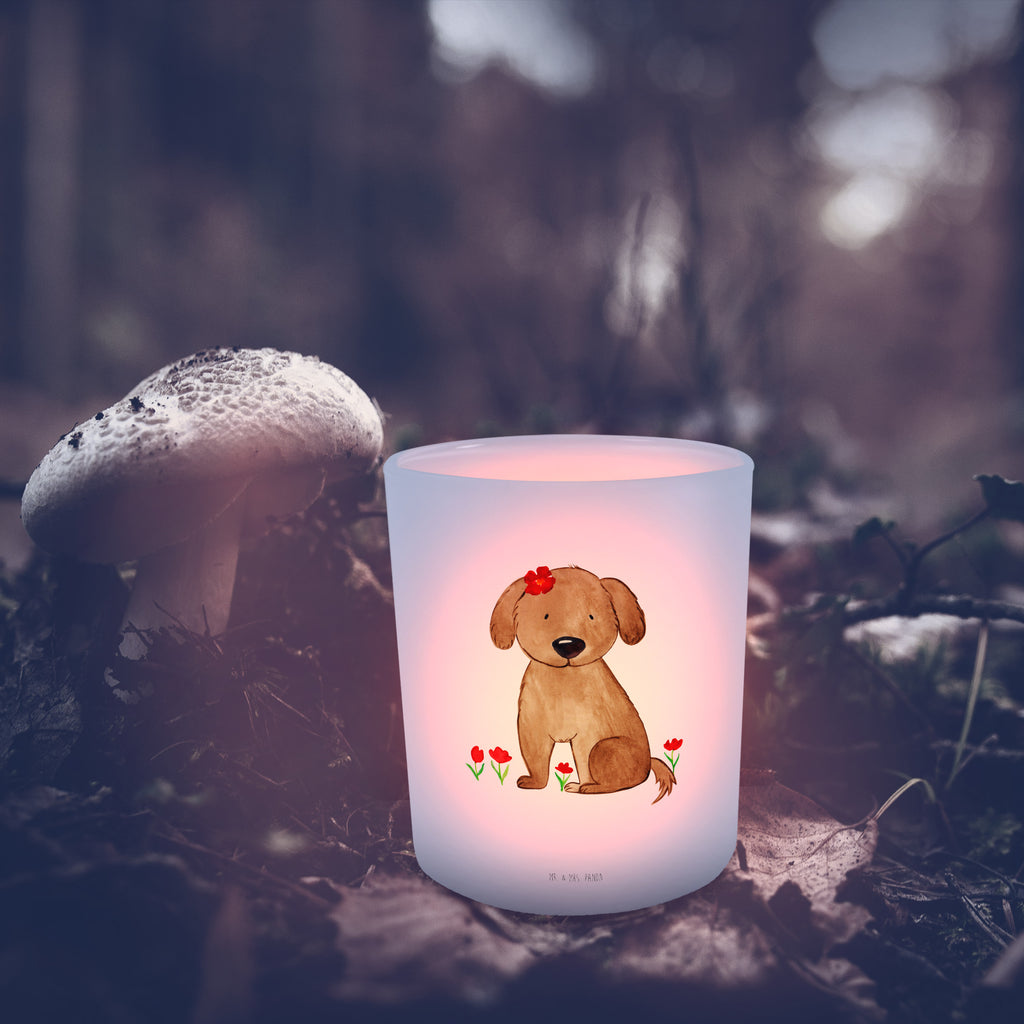 Windlicht Hund Hundedame Windlicht Glas, Teelichtglas, Teelichthalter, Teelichter, Kerzenglas, Windlicht Kerze, Kerzenlicht, Hund, Hundemotiv, Haustier, Hunderasse, Tierliebhaber, Hundebesitzer, Sprüche, Hunde, Hundeliebe, Hundeglück, Liebe, Frauchen