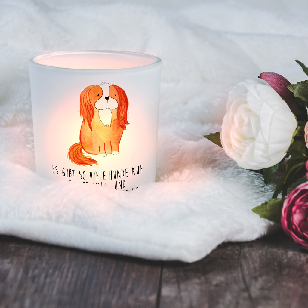 Windlicht Cavalier King Charles Spaniel Windlicht Glas, Teelichtglas, Teelichthalter, Teelichter, Kerzenglas, Windlicht Kerze, Kerzenlicht, Hund, Hundemotiv, Haustier, Hunderasse, Tierliebhaber, Hundebesitzer, Sprüche, Cavalier King Charles Spaniel, Cockerspaniel, Spaniel, Spruch, schönster Hund