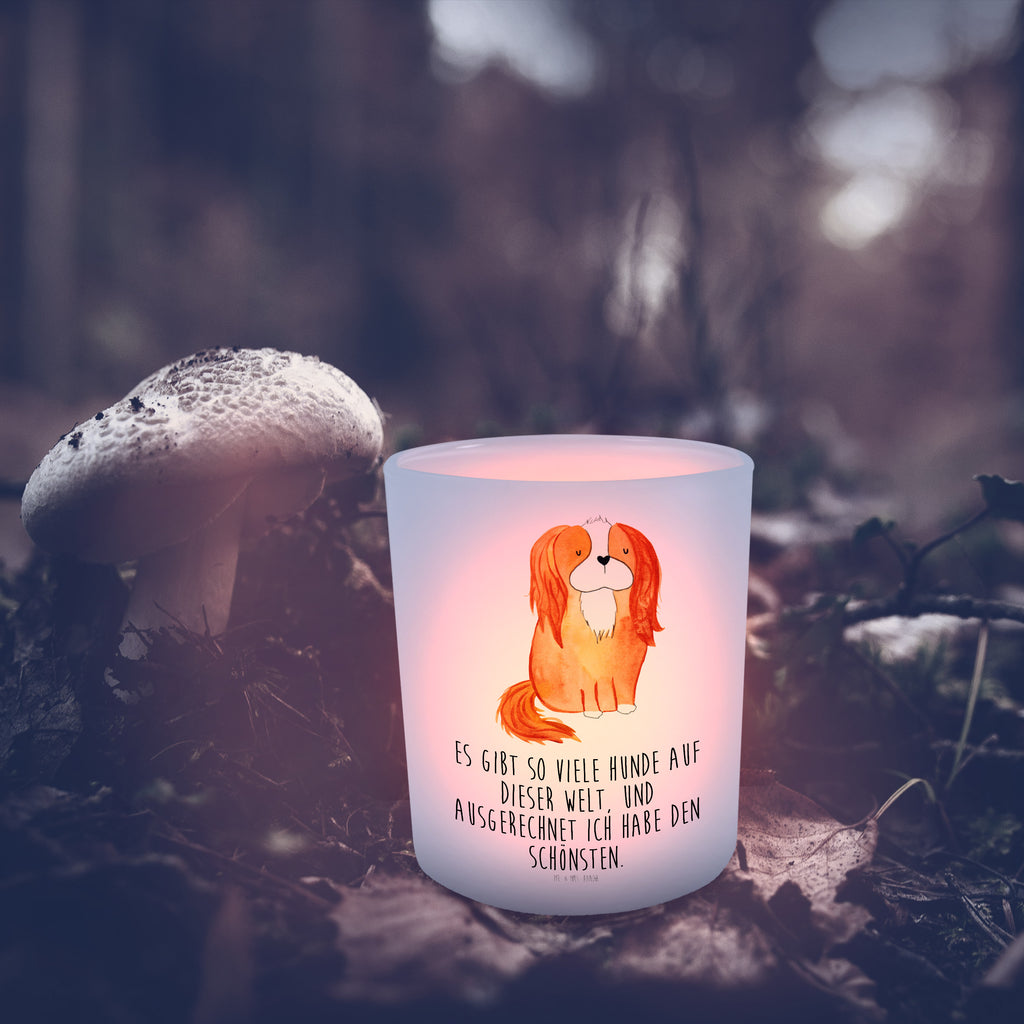 Windlicht Cavalier King Charles Spaniel Windlicht Glas, Teelichtglas, Teelichthalter, Teelichter, Kerzenglas, Windlicht Kerze, Kerzenlicht, Hund, Hundemotiv, Haustier, Hunderasse, Tierliebhaber, Hundebesitzer, Sprüche, Cavalier King Charles Spaniel, Cockerspaniel, Spaniel, Spruch, schönster Hund
