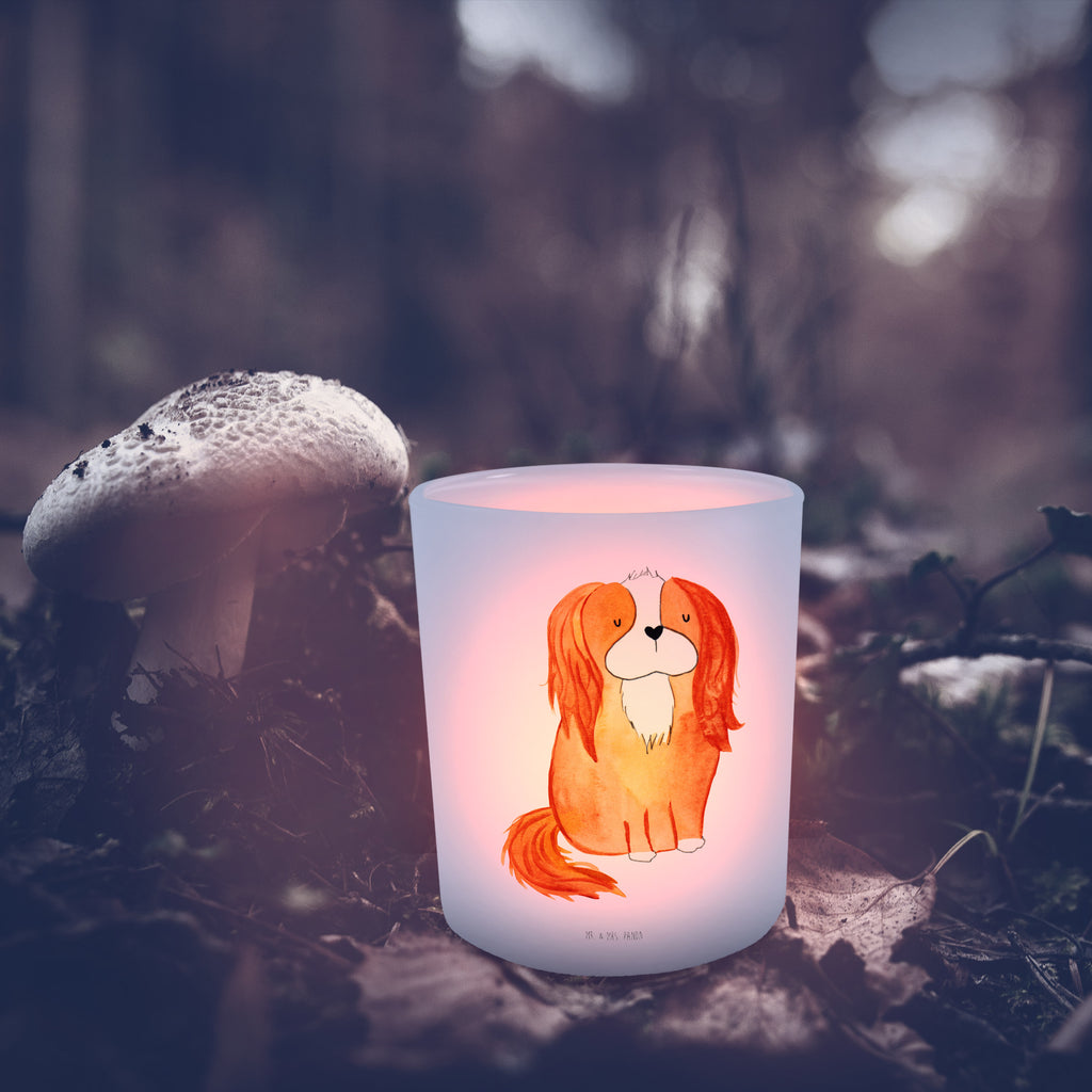 Windlicht Cavalier King Charles Spaniel Windlicht Glas, Teelichtglas, Teelichthalter, Teelichter, Kerzenglas, Windlicht Kerze, Kerzenlicht, Hund, Hundemotiv, Haustier, Hunderasse, Tierliebhaber, Hundebesitzer, Sprüche, Cavalier King Charles Spaniel, Cockerspaniel, Spaniel, Spruch, schönster Hund