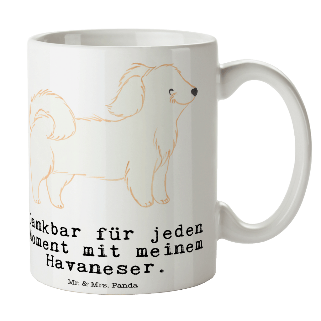 d9065ae414eeb86c6b5b06b3d583ea00