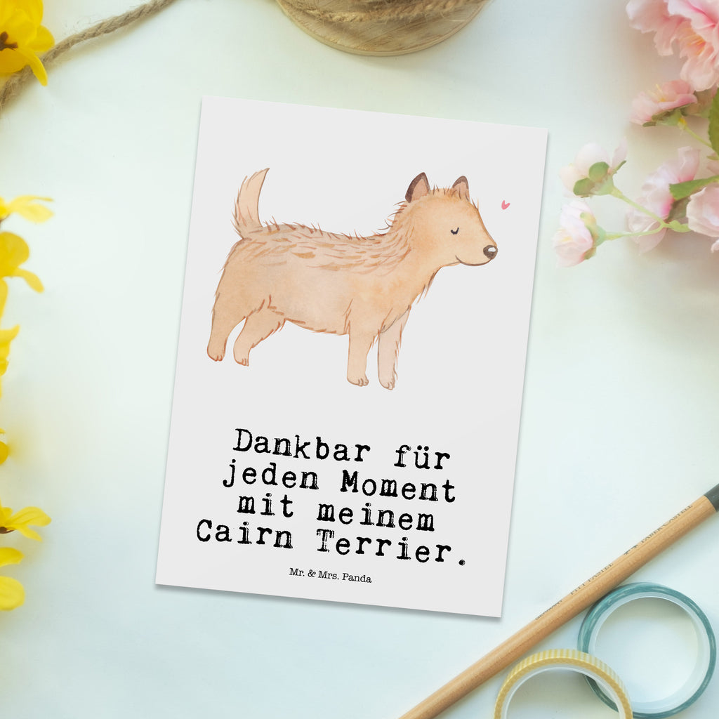 Postkarte Cairn Terrier Moment Geschenkkarte, Grußkarte, Karte, Einladung, Ansichtskarte, Geburtstagskarte, Einladungskarte, Dankeskarte, Hund, Hunderasse, Rassehund, Hundebesitzer, Geschenk, Tierfreund, Schenken, Welpe, Cairn Terrier