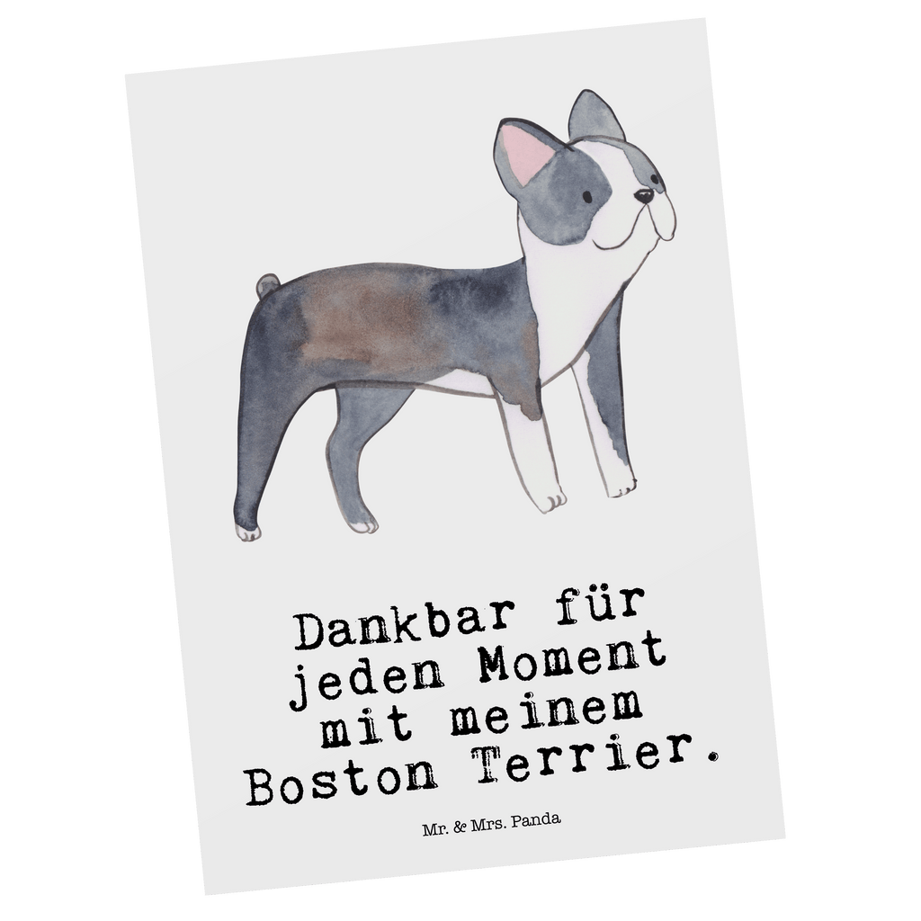 Postkarte Boston Terrier Moment Geschenkkarte, Grußkarte, Karte, Einladung, Ansichtskarte, Geburtstagskarte, Einladungskarte, Dankeskarte, Hund, Hunderasse, Rassehund, Hundebesitzer, Geschenk, Tierfreund, Schenken, Welpe, Boston Terrier