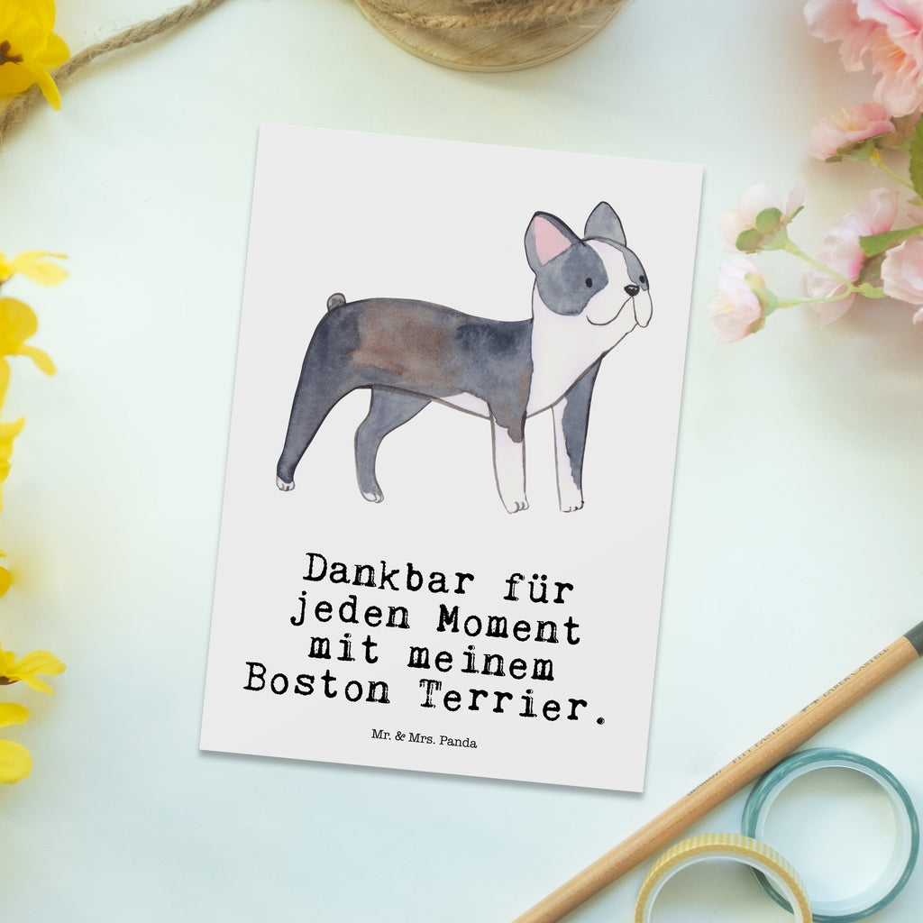 Postkarte Boston Terrier Moment Geschenkkarte, Grußkarte, Karte, Einladung, Ansichtskarte, Geburtstagskarte, Einladungskarte, Dankeskarte, Hund, Hunderasse, Rassehund, Hundebesitzer, Geschenk, Tierfreund, Schenken, Welpe, Boston Terrier
