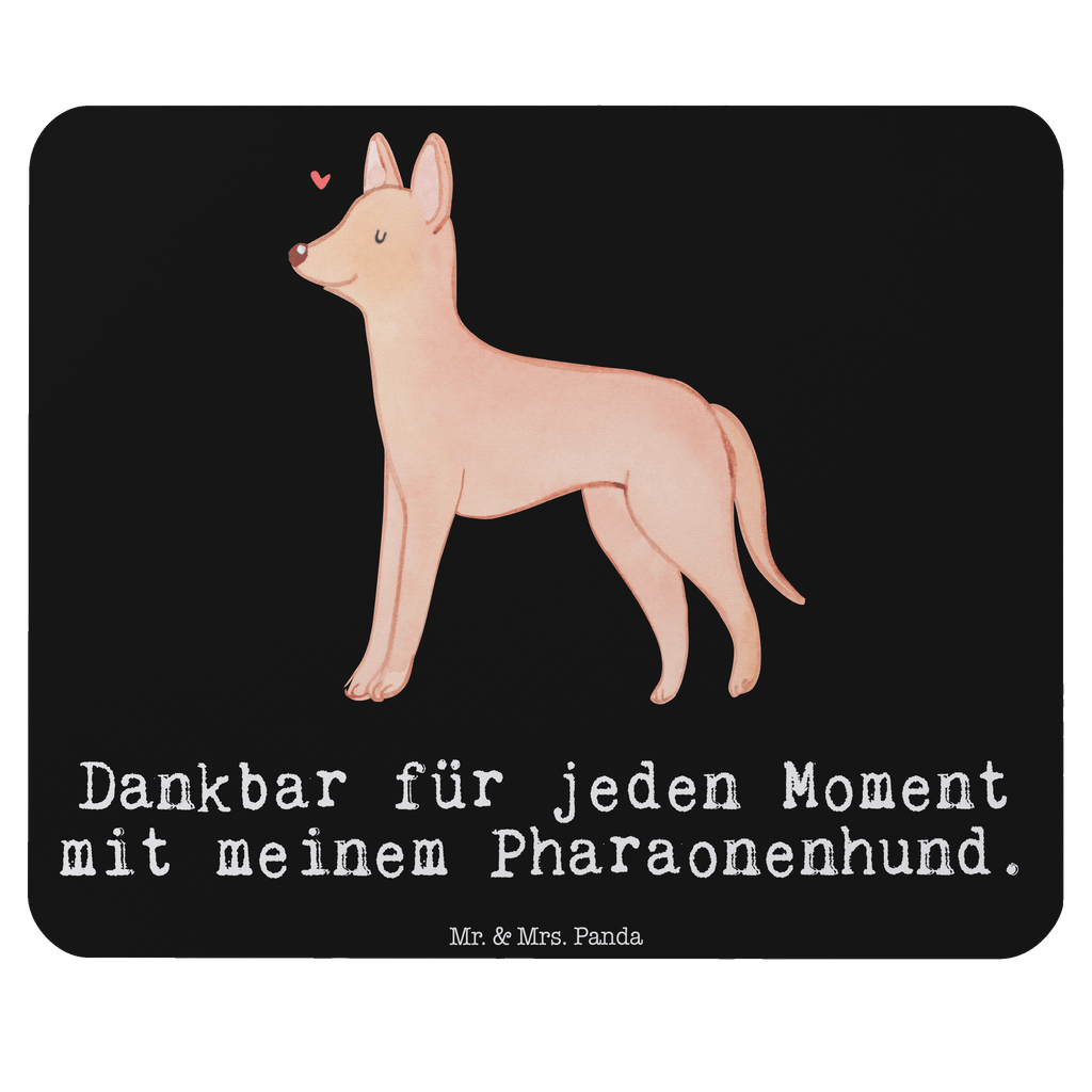 832062fce65850cd2a4eb825ace2341b