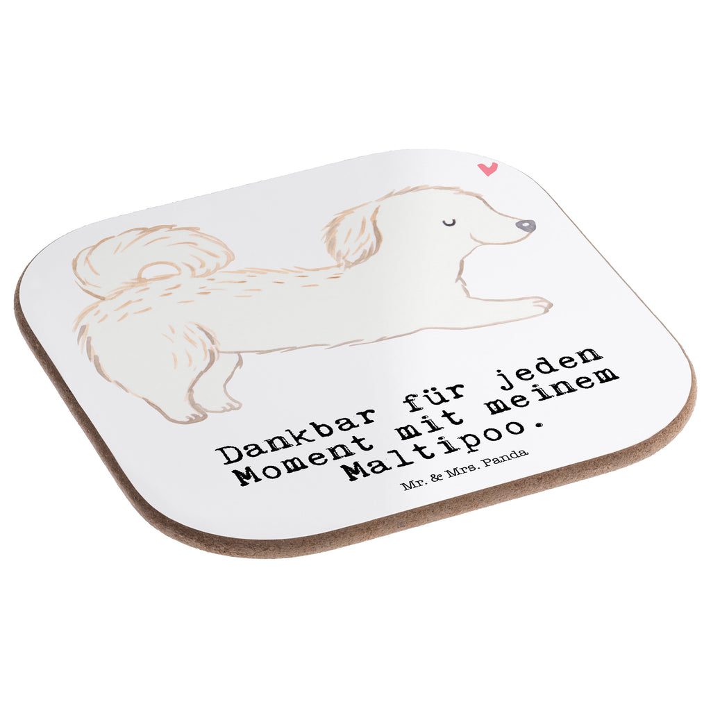 Quadratische Untersetzer Maltipoo Moment Bierdeckel, Glasuntersetzer, Untersetzer Gläser, Getränkeuntersetzer, Hund, Hunderasse, Rassehund, Hundebesitzer, Geschenk, Tierfreund, Schenken, Welpe, Maltipoo, Kreuzung, Mischling