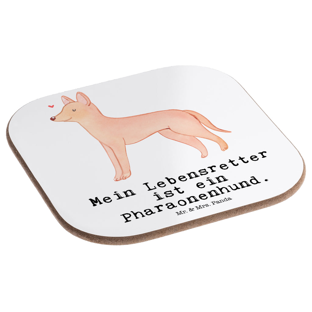 Quadratische Untersetzer Pharaonenhund Lebensretter Bierdeckel, Glasuntersetzer, Untersetzer Gläser, Getränkeuntersetzer, Hund, Hunderasse, Rassehund, Hundebesitzer, Geschenk, Tierfreund, Schenken, Welpe, Pharaonenhund, Pharaoh Hound, Kelb tal-Fenek