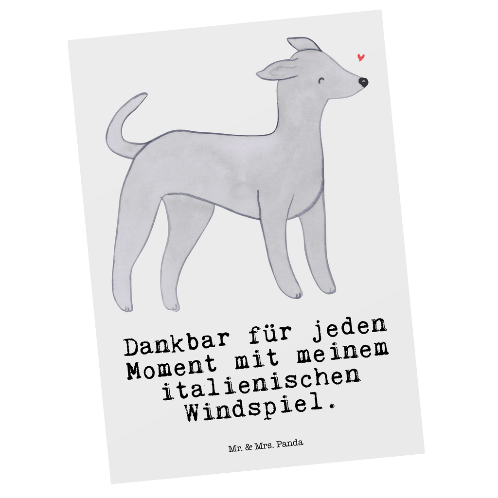 Postkarte Italienisches Windspiel Moment Geschenkkarte, Grußkarte, Karte, Einladung, Ansichtskarte, Geburtstagskarte, Einladungskarte, Dankeskarte, Hund, Hunderasse, Rassehund, Hundebesitzer, Geschenk, Tierfreund, Schenken, Welpe, Italienisches Windspiel, Windhund, Italian Greyhound