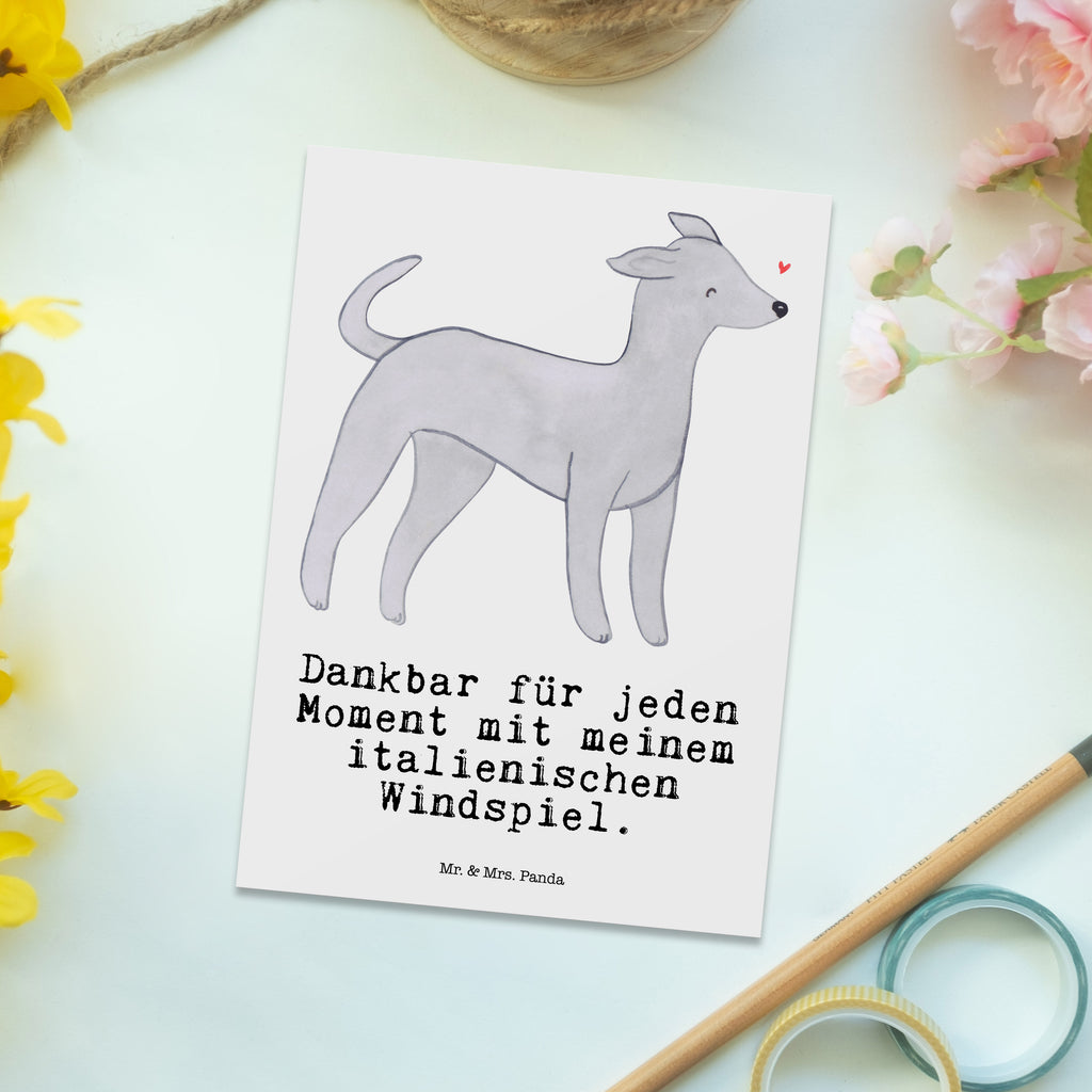 Postkarte Italienisches Windspiel Moment Geschenkkarte, Grußkarte, Karte, Einladung, Ansichtskarte, Geburtstagskarte, Einladungskarte, Dankeskarte, Hund, Hunderasse, Rassehund, Hundebesitzer, Geschenk, Tierfreund, Schenken, Welpe, Italienisches Windspiel, Windhund, Italian Greyhound