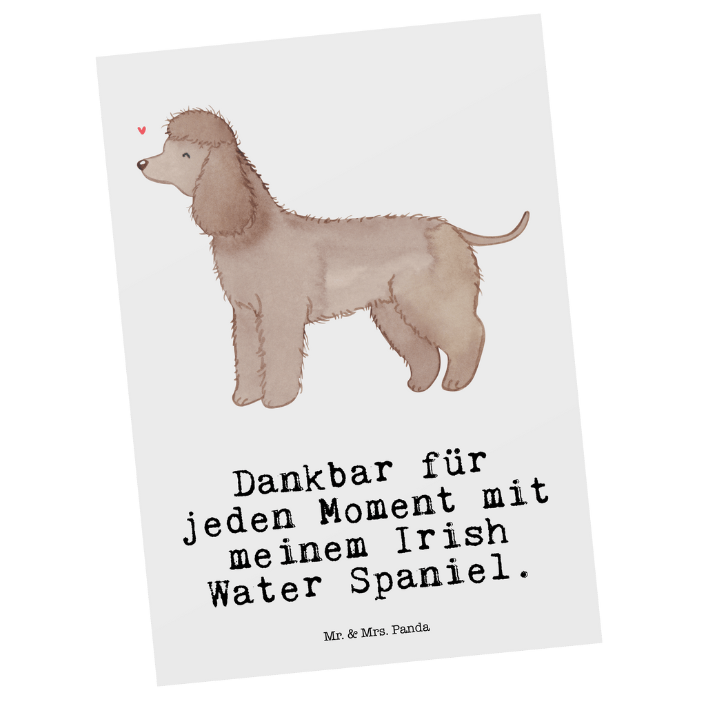 Postkarte Irish Water Spaniel Moment Geschenkkarte, Grußkarte, Karte, Einladung, Ansichtskarte, Geburtstagskarte, Einladungskarte, Dankeskarte, Hund, Hunderasse, Rassehund, Hundebesitzer, Geschenk, Tierfreund, Schenken, Welpe, Irish Water Spaniel, Jagdhund