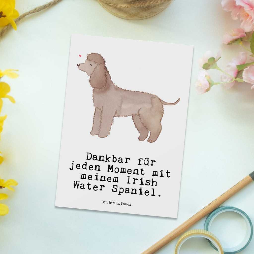 Postkarte Irish Water Spaniel Moment Geschenkkarte, Grußkarte, Karte, Einladung, Ansichtskarte, Geburtstagskarte, Einladungskarte, Dankeskarte, Hund, Hunderasse, Rassehund, Hundebesitzer, Geschenk, Tierfreund, Schenken, Welpe, Irish Water Spaniel, Jagdhund