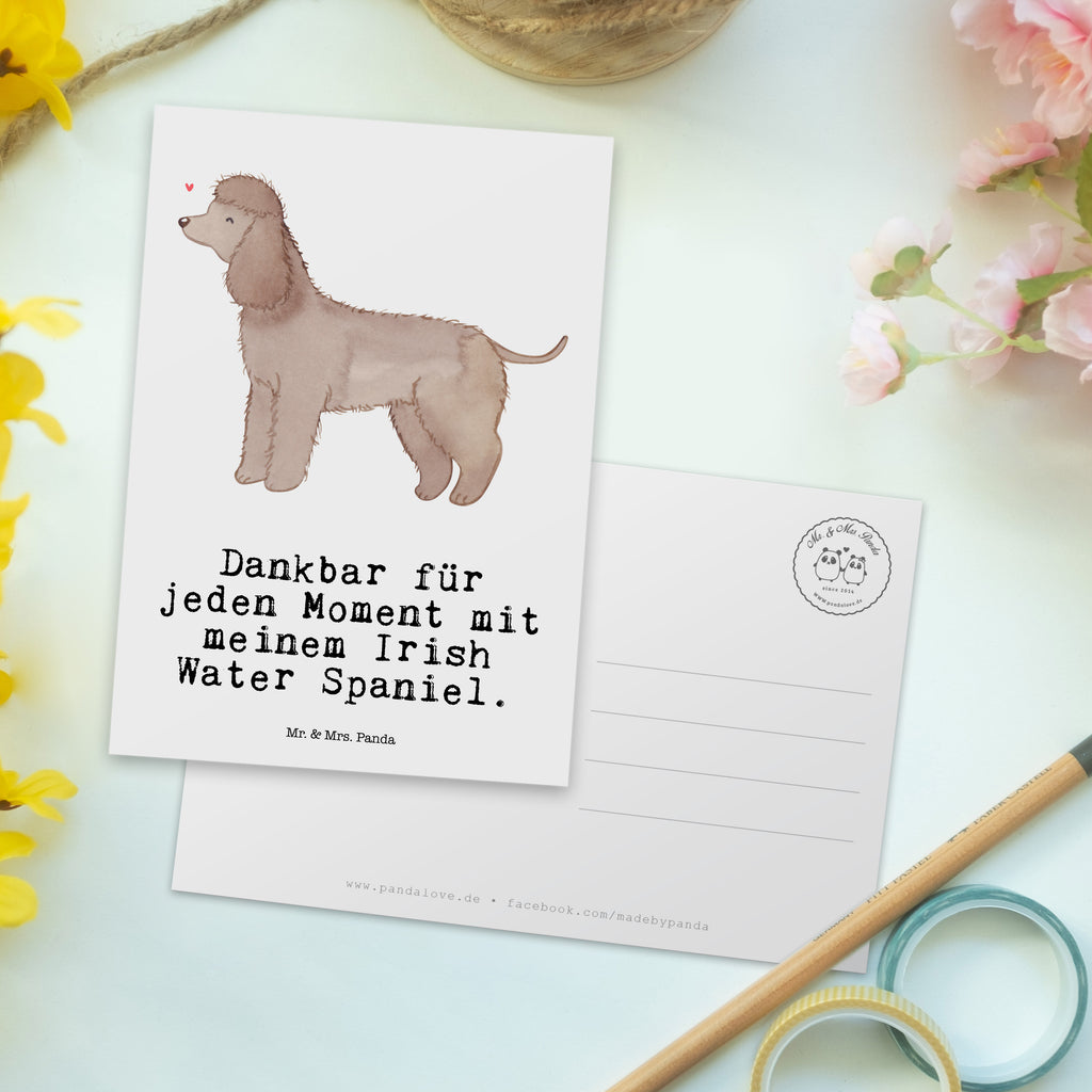 Postkarte Irish Water Spaniel Moment Geschenkkarte, Grußkarte, Karte, Einladung, Ansichtskarte, Geburtstagskarte, Einladungskarte, Dankeskarte, Hund, Hunderasse, Rassehund, Hundebesitzer, Geschenk, Tierfreund, Schenken, Welpe, Irish Water Spaniel, Jagdhund