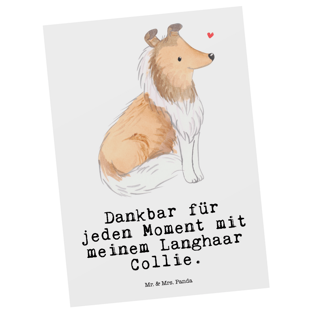 Postkarte Langhaar Collie Moment Geschenkkarte, Grußkarte, Karte, Einladung, Ansichtskarte, Geburtstagskarte, Einladungskarte, Dankeskarte, Hund, Hunderasse, Rassehund, Hundebesitzer, Geschenk, Tierfreund, Schenken, Welpe, Langhaar Collie, britischer Hütehund