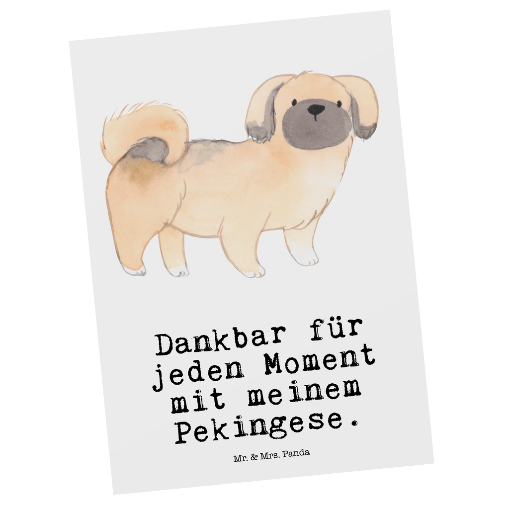 Postkarte Pekingese Moment Geschenkkarte, Grußkarte, Karte, Einladung, Ansichtskarte, Geburtstagskarte, Einladungskarte, Dankeskarte, Hund, Hunderasse, Rassehund, Hundebesitzer, Geschenk, Tierfreund, Schenken, Welpe, Pekingese, Pekinese, Peking-Palasthund
