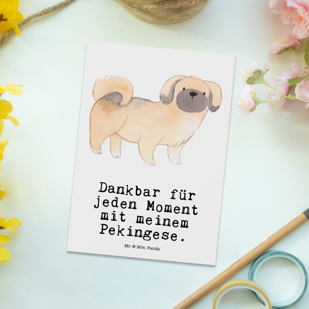 Postkarte Pekingese Moment Geschenkkarte, Grußkarte, Karte, Einladung, Ansichtskarte, Geburtstagskarte, Einladungskarte, Dankeskarte, Hund, Hunderasse, Rassehund, Hundebesitzer, Geschenk, Tierfreund, Schenken, Welpe, Pekingese, Pekinese, Peking-Palasthund