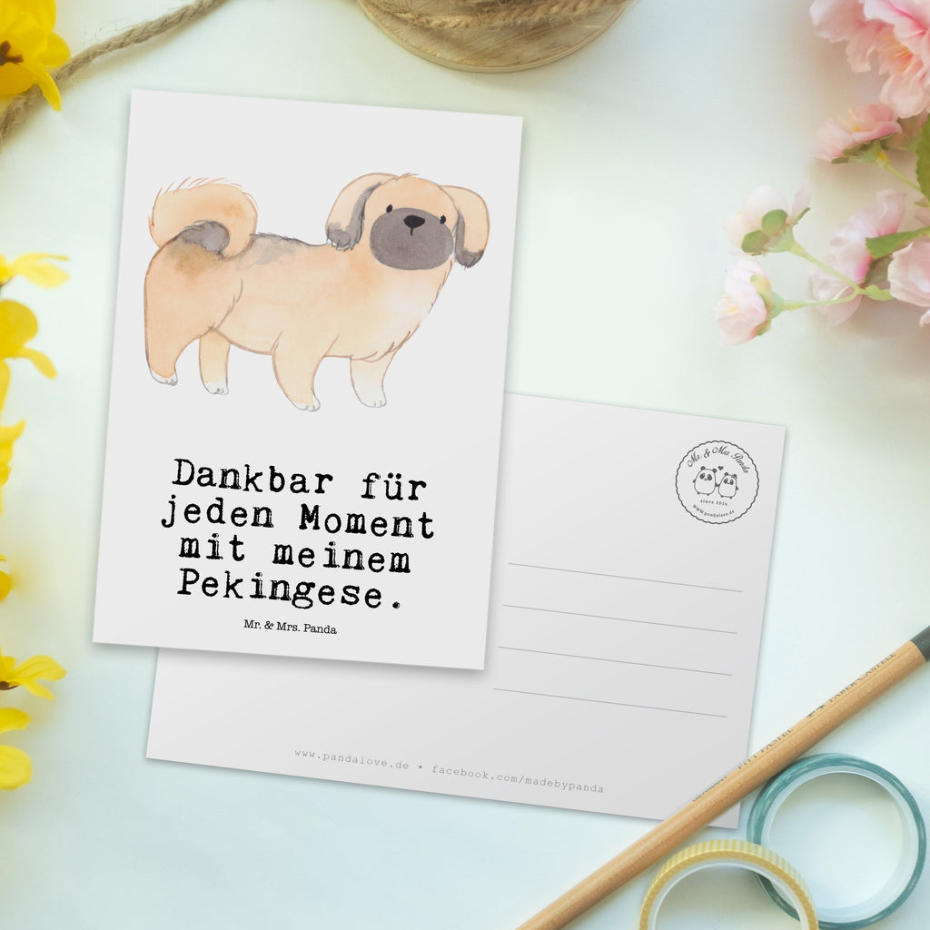 Postkarte Pekingese Moment Geschenkkarte, Grußkarte, Karte, Einladung, Ansichtskarte, Geburtstagskarte, Einladungskarte, Dankeskarte, Hund, Hunderasse, Rassehund, Hundebesitzer, Geschenk, Tierfreund, Schenken, Welpe, Pekingese, Pekinese, Peking-Palasthund
