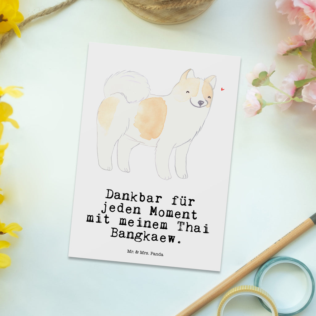Postkarte Thai Bangkaew Moment Geschenkkarte, Grußkarte, Karte, Einladung, Ansichtskarte, Geburtstagskarte, Einladungskarte, Dankeskarte, Hund, Hunderasse, Rassehund, Hundebesitzer, Geschenk, Tierfreund, Schenken, Welpe, Thai Bangkaew Dog