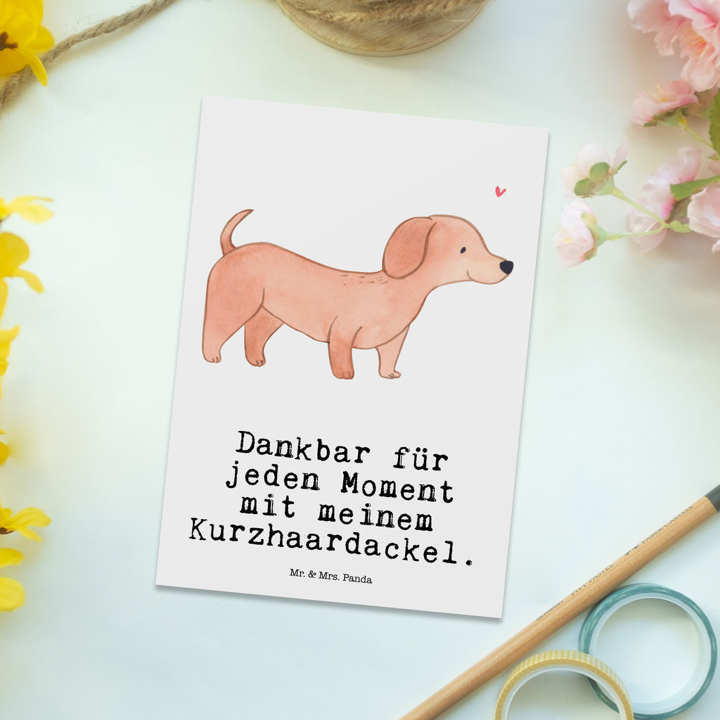 Postkarte Dackel Kurzhaardackel Moment Geschenkkarte, Grußkarte, Karte, Einladung, Ansichtskarte, Geburtstagskarte, Einladungskarte, Dankeskarte, Hund, Hunderasse, Rassehund, Hundebesitzer, Geschenk, Tierfreund, Schenken, Welpe, Teckel, Dachshund, Kurzhaardackel