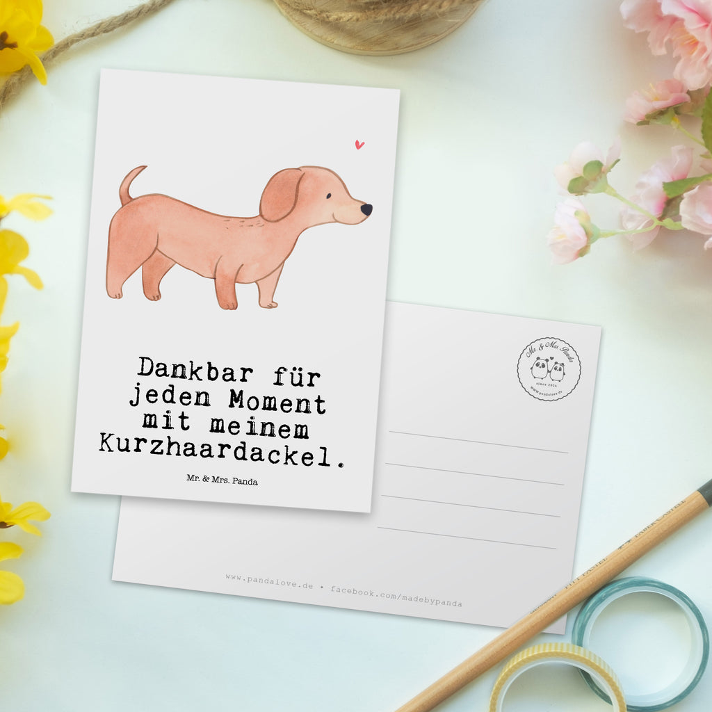 Postkarte Dackel Kurzhaardackel Moment Geschenkkarte, Grußkarte, Karte, Einladung, Ansichtskarte, Geburtstagskarte, Einladungskarte, Dankeskarte, Hund, Hunderasse, Rassehund, Hundebesitzer, Geschenk, Tierfreund, Schenken, Welpe, Teckel, Dachshund, Kurzhaardackel