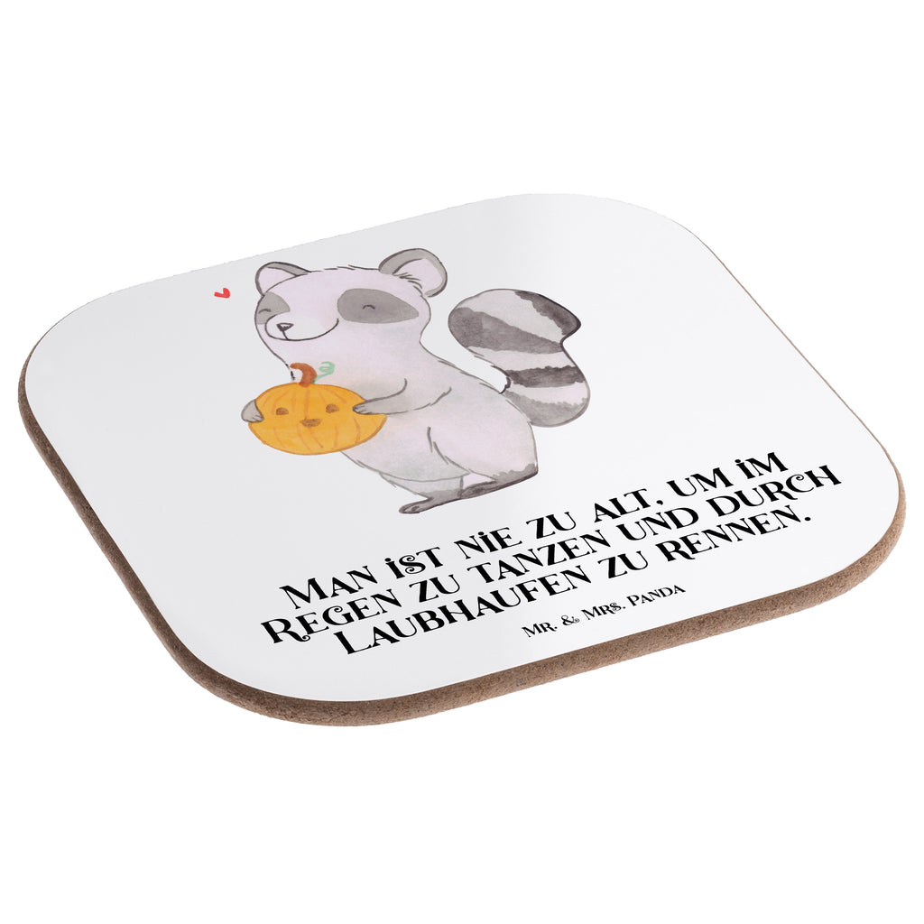 Quadratische Untersetzer Waschbär Kürbis Bierdeckel, Glasuntersetzer, Untersetzer Gläser, Getränkeuntersetzer, Halloween, Deko, Martinssingen, Dekoration, Geschenke, Schenken, Halloween Deko, Trick or Treat, Süßes sonst gibt's saures, Waschbär, Kürbis