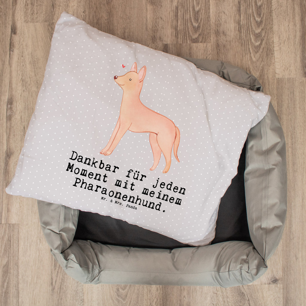 Hundebett Pharaonenhund Moment Hundebett, Hundeliege, Liegeplatz, Hund, Hundekörbchen, Körbchen, Tierbett, Hundebett Luxus, Hundekissen, Hundesofa, Hundeschlafplatz, Hundebettchen, Hundemöbel, Hundedecke, Hunderasse, Rassehund, Hundebesitzer, Geschenk, Tierfreund, Schenken, Welpe, Pharaonenhund, Pharaoh Hound, Kelb tal-Fenek