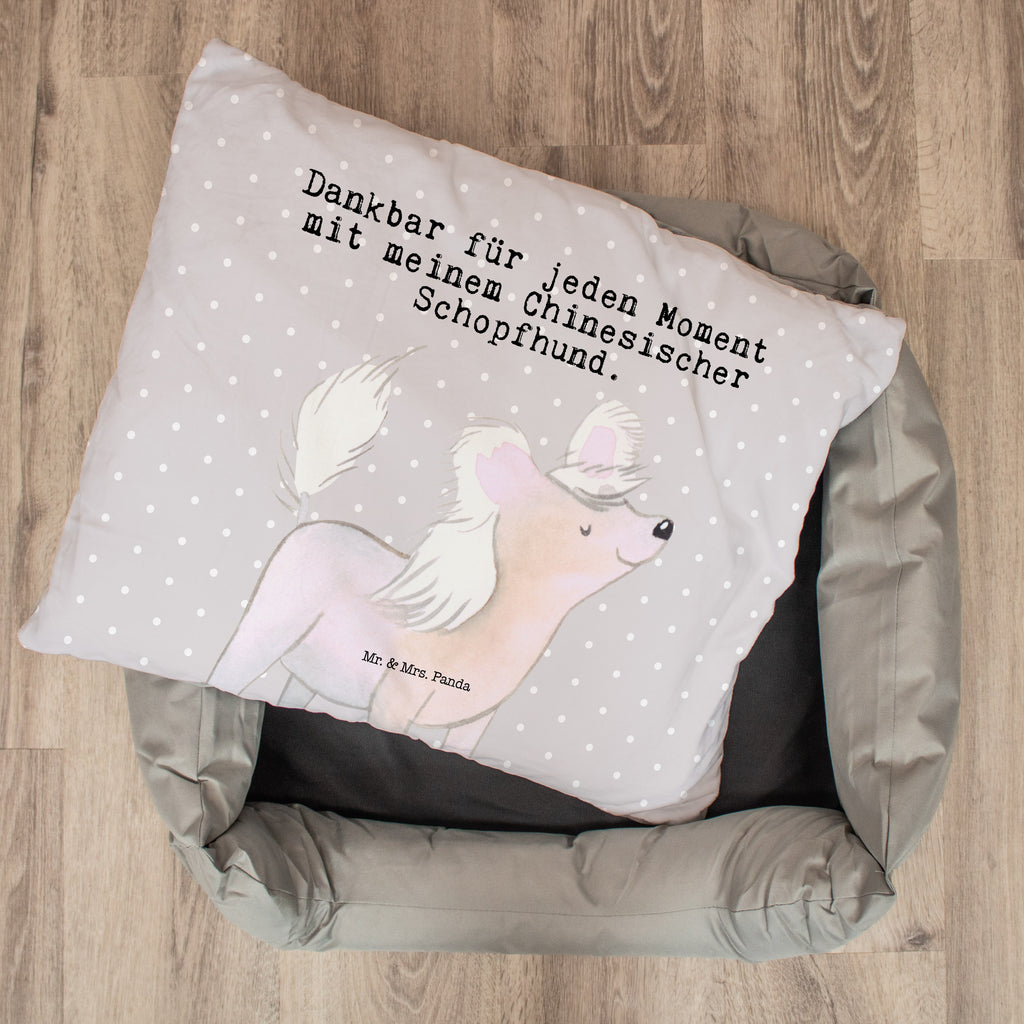 Hundebett Chinesischer Schopfhund Moment Hundebett, Hundeliege, Liegeplatz, Hund, Hundekörbchen, Körbchen, Tierbett, Hundebett Luxus, Hundekissen, Hundesofa, Hundeschlafplatz, Hundebettchen, Hundemöbel, Hundedecke, Hunderasse, Rassehund, Hundebesitzer, Geschenk, Tierfreund, Schenken, Welpe, Chinesischer Schopfhund, Chinese Crested Dog