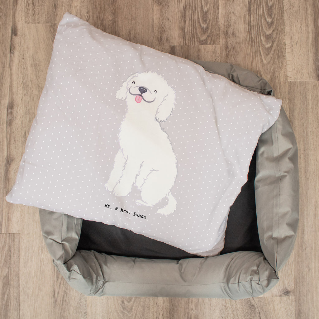 Hundebett Kleinpudel Lebensretter Hundebett, Hundeliege, Liegeplatz, Hund, Hundekörbchen, Körbchen, Tierbett, Hundebett Luxus, Hundekissen, Hundesofa, Hundeschlafplatz, Hundebettchen, Hundemöbel, Hundedecke, Hunderasse, Rassehund, Hundebesitzer, Geschenk, Tierfreund, Schenken, Welpe, Pudel, Kleinpudel