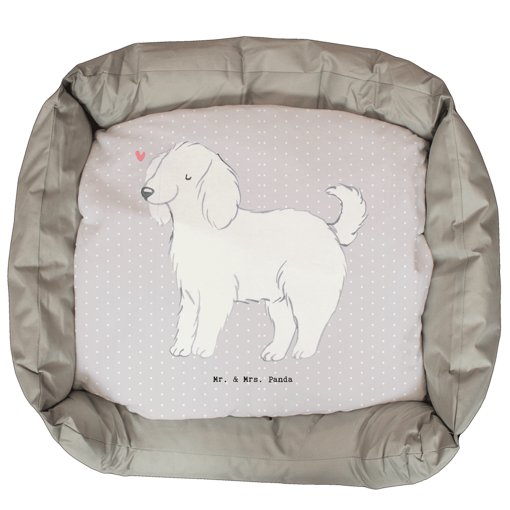 Hundebett Bologneser Moment Hundebett, Hundeliege, Liegeplatz, Hund, Hundekörbchen, Körbchen, Tierbett, Hundebett Luxus, Hundekissen, Hundesofa, Hundeschlafplatz, Hundebettchen, Hundemöbel, Hundedecke, Hunderasse, Rassehund, Hundebesitzer, Geschenk, Tierfreund, Schenken, Welpe, Bologneser