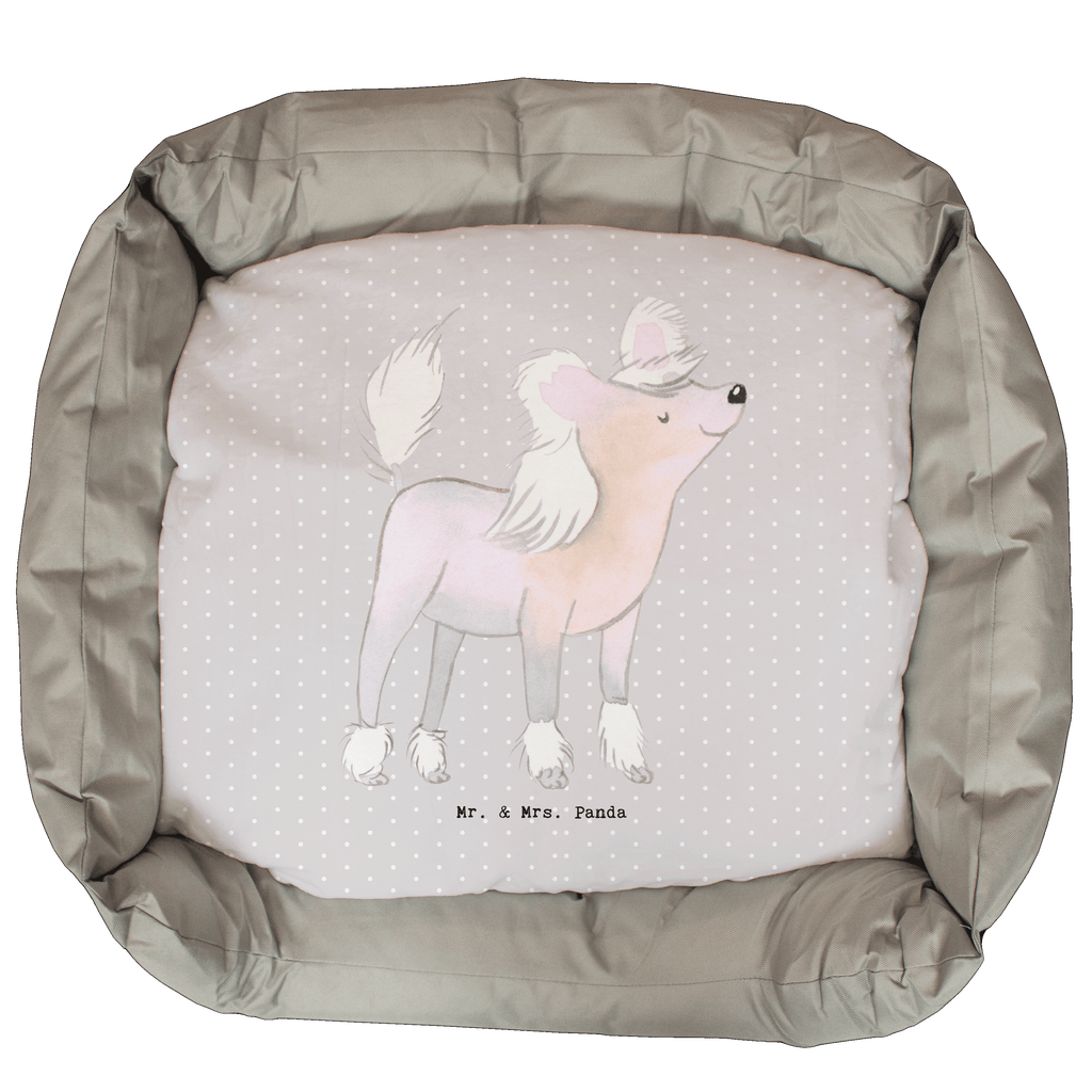 Hundebett Chinesischer Schopfhund Moment Hundebett, Hundeliege, Liegeplatz, Hund, Hundekörbchen, Körbchen, Tierbett, Hundebett Luxus, Hundekissen, Hundesofa, Hundeschlafplatz, Hundebettchen, Hundemöbel, Hundedecke, Hunderasse, Rassehund, Hundebesitzer, Geschenk, Tierfreund, Schenken, Welpe, Chinesischer Schopfhund, Chinese Crested Dog