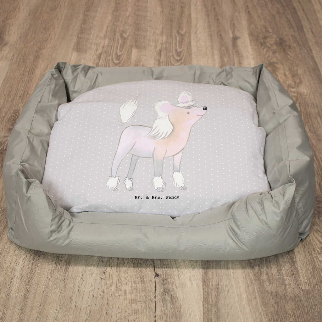 Hundebett Chinesischer Schopfhund Moment Hundebett, Hundeliege, Liegeplatz, Hund, Hundekörbchen, Körbchen, Tierbett, Hundebett Luxus, Hundekissen, Hundesofa, Hundeschlafplatz, Hundebettchen, Hundemöbel, Hundedecke, Hunderasse, Rassehund, Hundebesitzer, Geschenk, Tierfreund, Schenken, Welpe, Chinesischer Schopfhund, Chinese Crested Dog