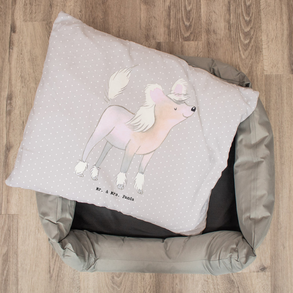 Hundebett Chinesischer Schopfhund Moment Hundebett, Hundeliege, Liegeplatz, Hund, Hundekörbchen, Körbchen, Tierbett, Hundebett Luxus, Hundekissen, Hundesofa, Hundeschlafplatz, Hundebettchen, Hundemöbel, Hundedecke, Hunderasse, Rassehund, Hundebesitzer, Geschenk, Tierfreund, Schenken, Welpe, Chinesischer Schopfhund, Chinese Crested Dog