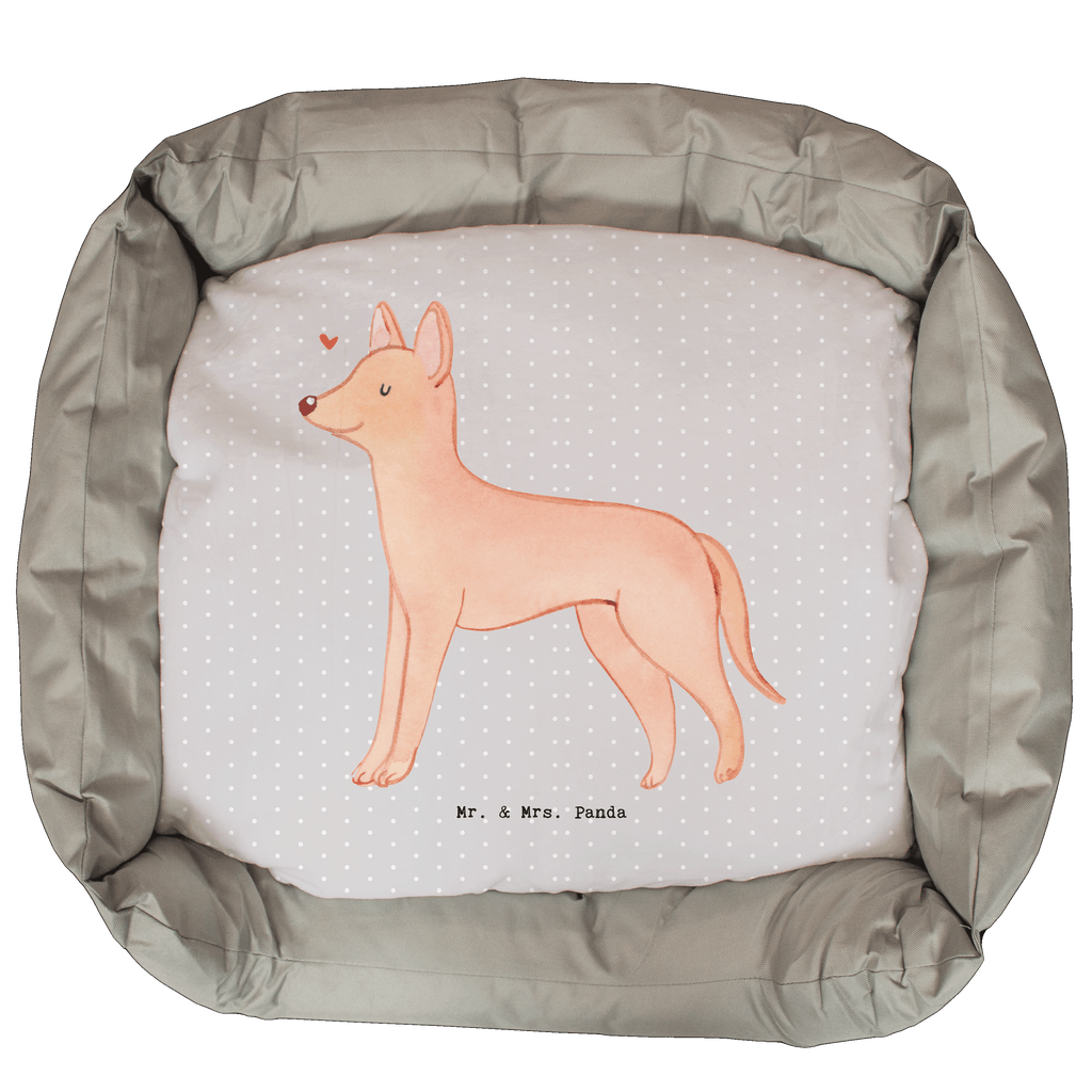 Hundebett Pharaonenhund Moment Hundebett, Hundeliege, Liegeplatz, Hund, Hundekörbchen, Körbchen, Tierbett, Hundebett Luxus, Hundekissen, Hundesofa, Hundeschlafplatz, Hundebettchen, Hundemöbel, Hundedecke, Hunderasse, Rassehund, Hundebesitzer, Geschenk, Tierfreund, Schenken, Welpe, Pharaonenhund, Pharaoh Hound, Kelb tal-Fenek