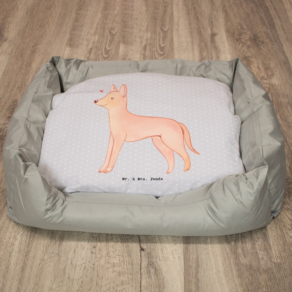 Hundebett Pharaonenhund Moment Hundebett, Hundeliege, Liegeplatz, Hund, Hundekörbchen, Körbchen, Tierbett, Hundebett Luxus, Hundekissen, Hundesofa, Hundeschlafplatz, Hundebettchen, Hundemöbel, Hundedecke, Hunderasse, Rassehund, Hundebesitzer, Geschenk, Tierfreund, Schenken, Welpe, Pharaonenhund, Pharaoh Hound, Kelb tal-Fenek