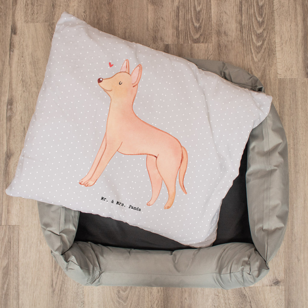 Hundebett Pharaonenhund Moment Hundebett, Hundeliege, Liegeplatz, Hund, Hundekörbchen, Körbchen, Tierbett, Hundebett Luxus, Hundekissen, Hundesofa, Hundeschlafplatz, Hundebettchen, Hundemöbel, Hundedecke, Hunderasse, Rassehund, Hundebesitzer, Geschenk, Tierfreund, Schenken, Welpe, Pharaonenhund, Pharaoh Hound, Kelb tal-Fenek