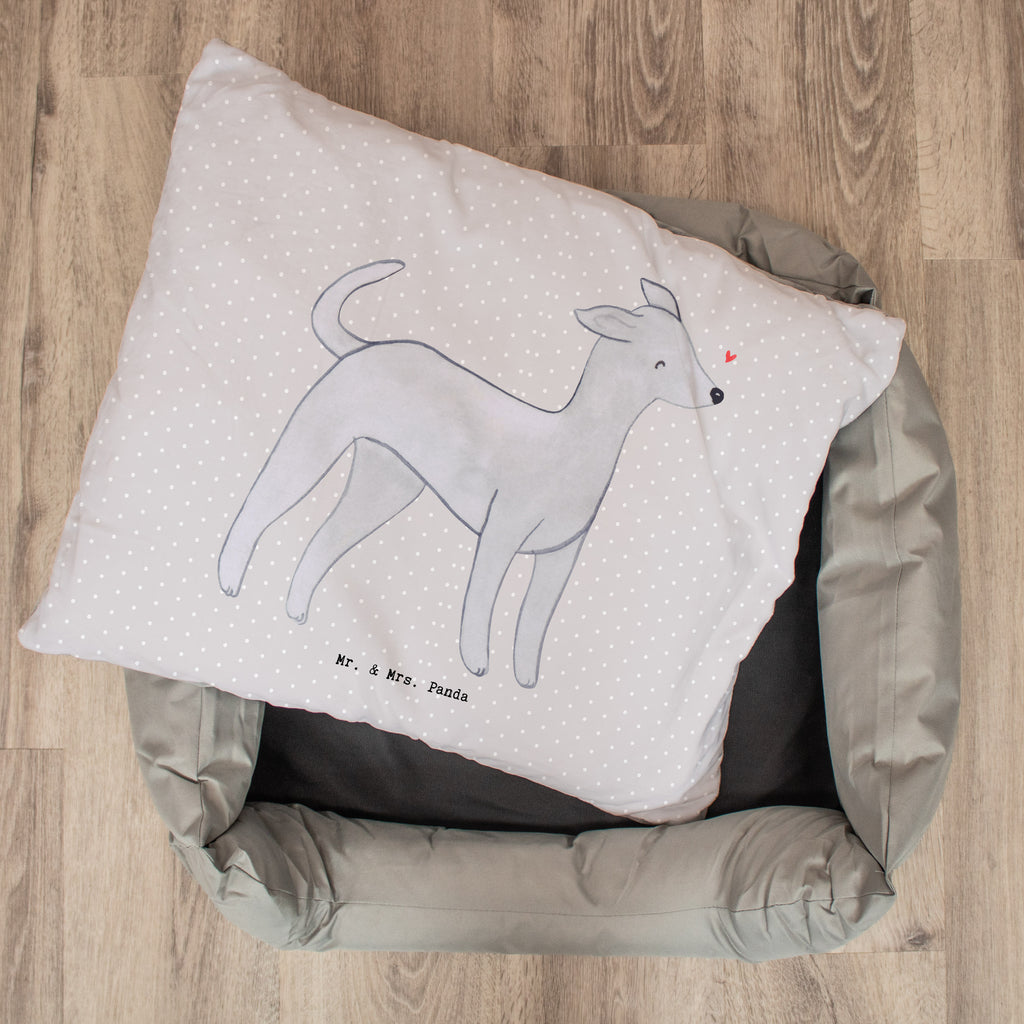 Hundebett Italienisches Windspiel Moment Hundebett, Hundeliege, Liegeplatz, Hund, Hundekörbchen, Körbchen, Tierbett, Hundebett Luxus, Hundekissen, Hundesofa, Hundeschlafplatz, Hundebettchen, Hundemöbel, Hundedecke, Hunderasse, Rassehund, Hundebesitzer, Geschenk, Tierfreund, Schenken, Welpe, Italienisches Windspiel, Windhund, Italian Greyhound