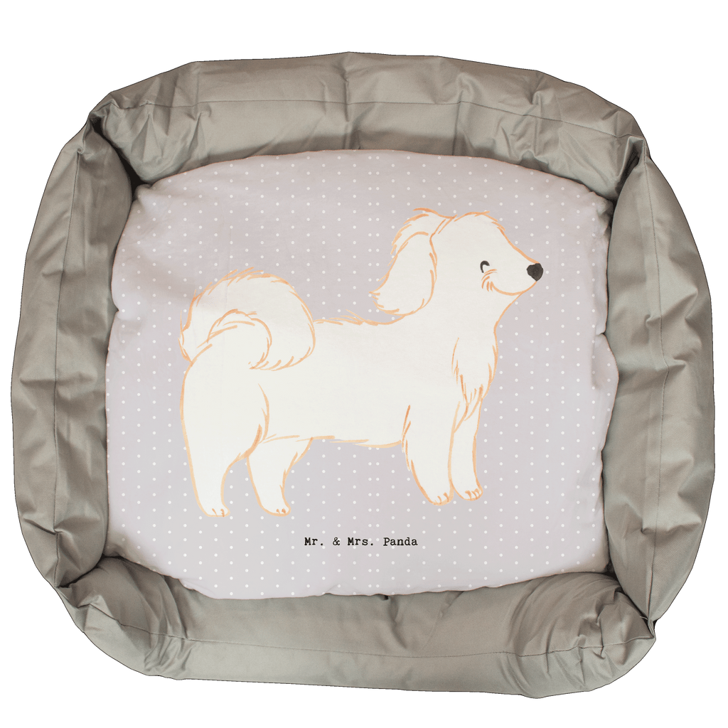 Hundebett Havaneser Moment Hundebett, Hundeliege, Liegeplatz, Hund, Hundekörbchen, Körbchen, Tierbett, Hundebett Luxus, Hundekissen, Hundesofa, Hundeschlafplatz, Hundebettchen, Hundemöbel, Hundedecke, Hunderasse, Rassehund, Hundebesitzer, Geschenk, Tierfreund, Schenken, Welpe, Havaneser, Havi, Bichon Havanais, Bichón Habanero
