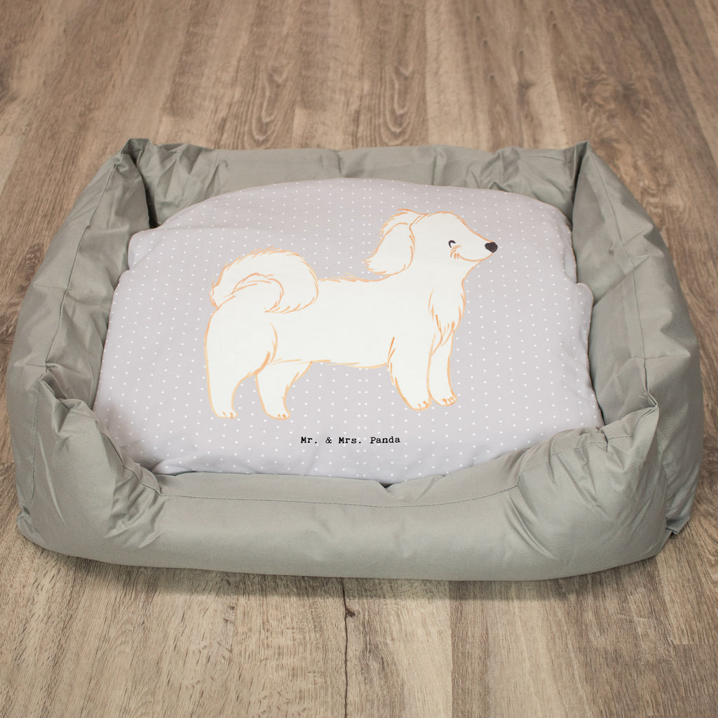 Hundebett Havaneser Moment Hundebett, Hundeliege, Liegeplatz, Hund, Hundekörbchen, Körbchen, Tierbett, Hundebett Luxus, Hundekissen, Hundesofa, Hundeschlafplatz, Hundebettchen, Hundemöbel, Hundedecke, Hunderasse, Rassehund, Hundebesitzer, Geschenk, Tierfreund, Schenken, Welpe, Havaneser, Havi, Bichon Havanais, Bichón Habanero