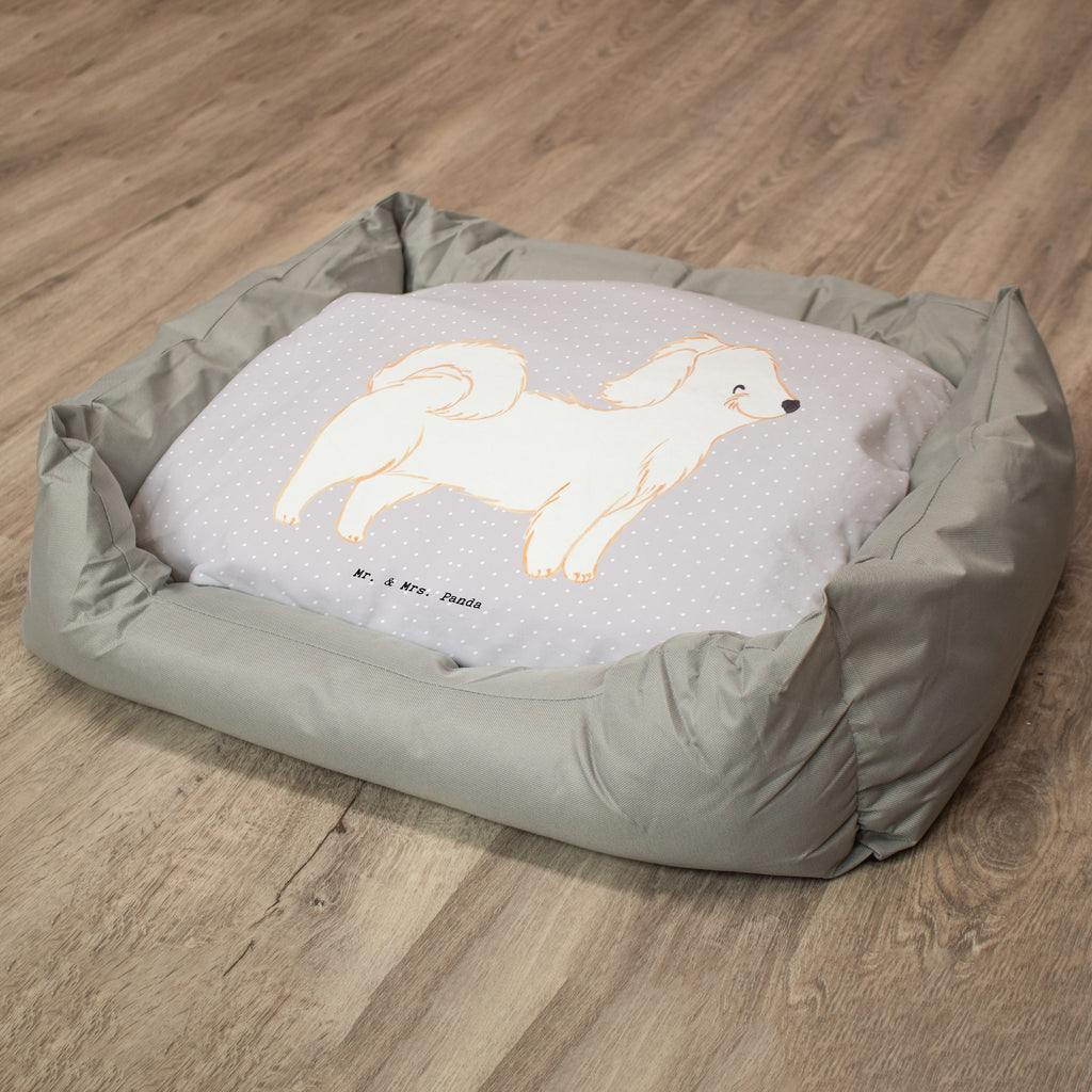 Hundebett Havaneser Moment Hundebett, Hundeliege, Liegeplatz, Hund, Hundekörbchen, Körbchen, Tierbett, Hundebett Luxus, Hundekissen, Hundesofa, Hundeschlafplatz, Hundebettchen, Hundemöbel, Hundedecke, Hunderasse, Rassehund, Hundebesitzer, Geschenk, Tierfreund, Schenken, Welpe, Havaneser, Havi, Bichon Havanais, Bichón Habanero