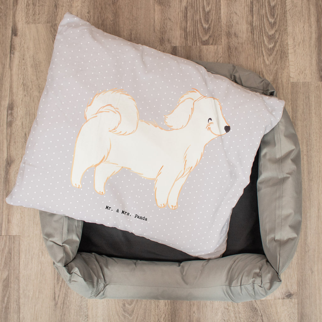 Hundebett Havaneser Moment Hundebett, Hundeliege, Liegeplatz, Hund, Hundekörbchen, Körbchen, Tierbett, Hundebett Luxus, Hundekissen, Hundesofa, Hundeschlafplatz, Hundebettchen, Hundemöbel, Hundedecke, Hunderasse, Rassehund, Hundebesitzer, Geschenk, Tierfreund, Schenken, Welpe, Havaneser, Havi, Bichon Havanais, Bichón Habanero