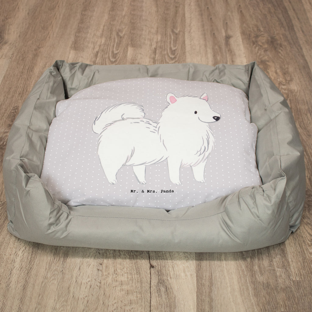 Hundebett Spitz Moment Hundebett, Hundeliege, Liegeplatz, Hund, Hundekörbchen, Körbchen, Tierbett, Hundebett Luxus, Hundekissen, Hundesofa, Hundeschlafplatz, Hundebettchen, Hundemöbel, Hundedecke, Hunderasse, Rassehund, Hundebesitzer, Geschenk, Tierfreund, Schenken, Welpe, Spitz